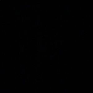 Meet your Posher, Jessinya